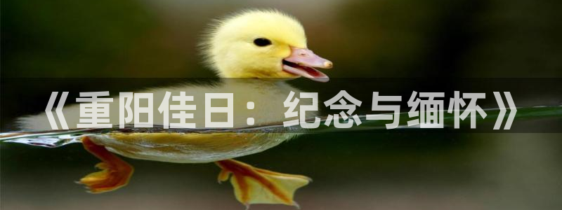 yy漫画免费漫画在线看：《重阳佳日：纪念与缅怀》